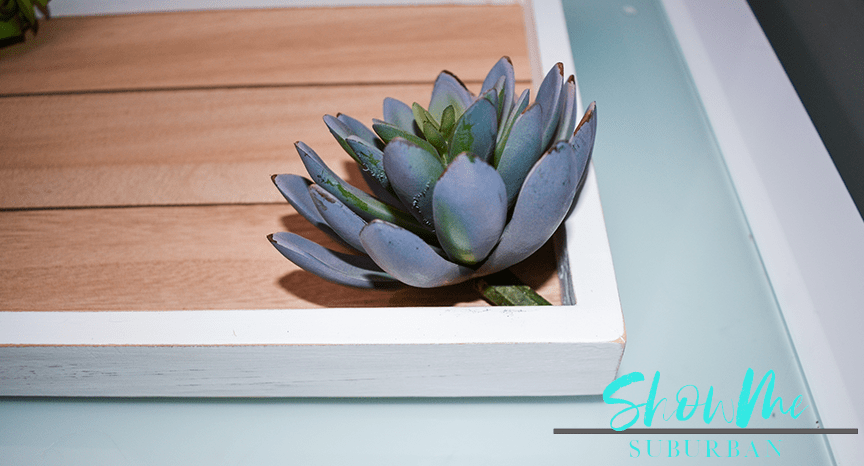 Faux succulent glued to wooden tray | Spruce up your bathroom with this cute DIY toothbrush storage unit! This toothbrush holder helps toothbrushes dry and reduces messes. Try this quick and easy idea today. Also makes a great gift! #diydecor #organizedbathroom