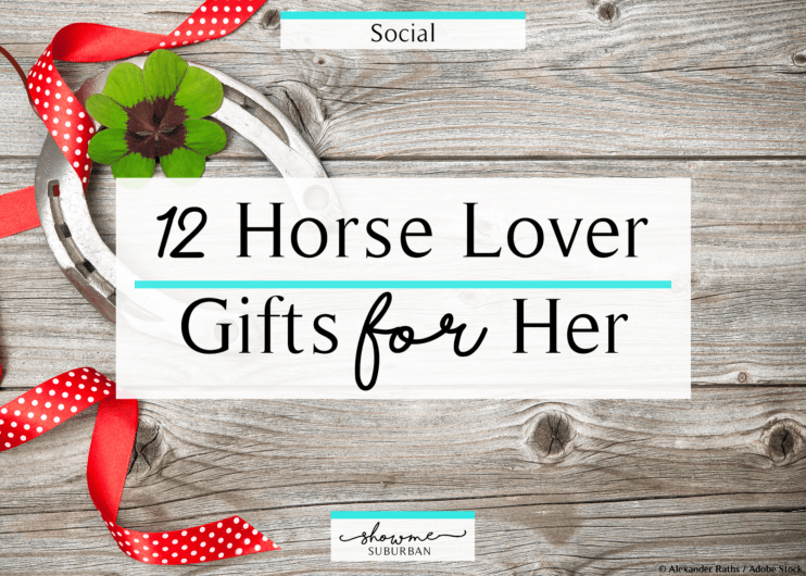 12 Popular Yet Simple Horse Lover Gifts for Her - ShowMe Suburban